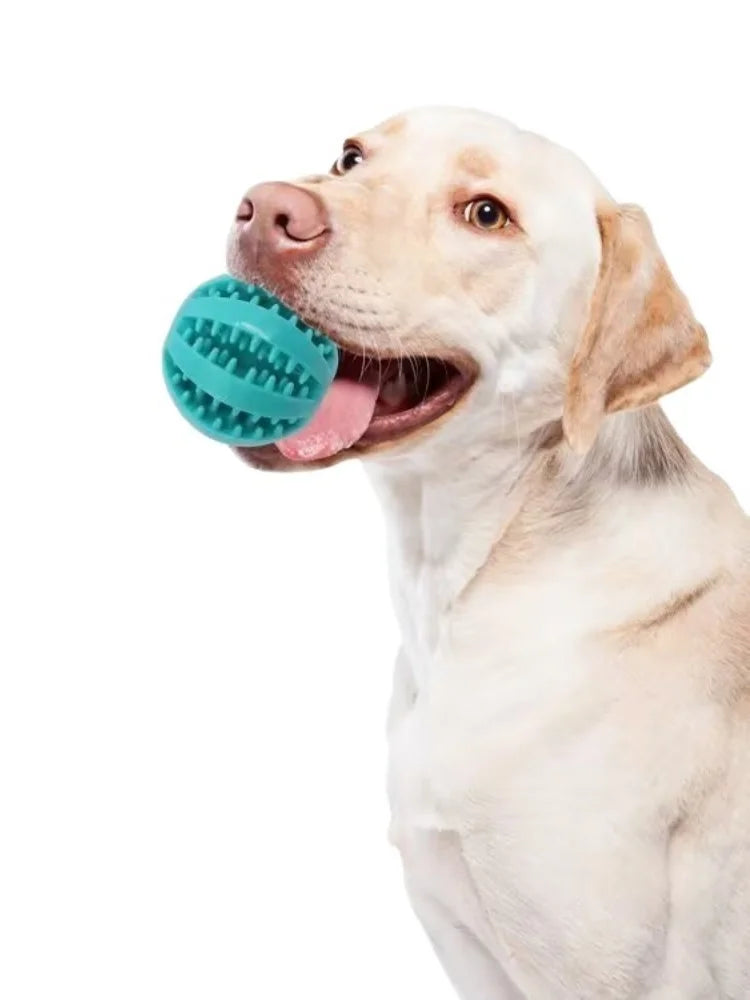 WoofGear™ DentalClean Treat Ball – Interactive Chew & Teeth Cleaning Toy