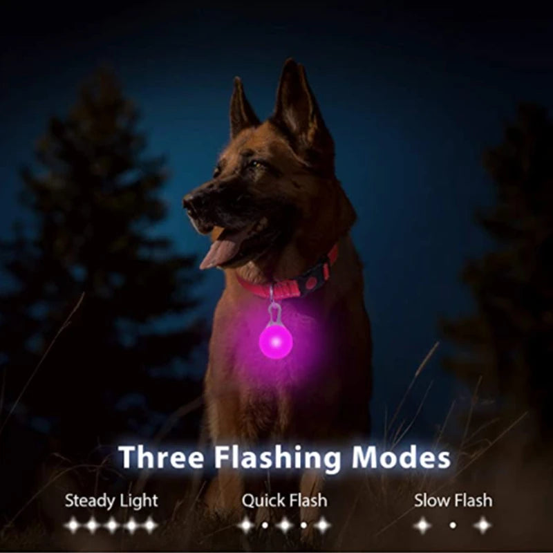 WoofGear™ LED Glow Collar