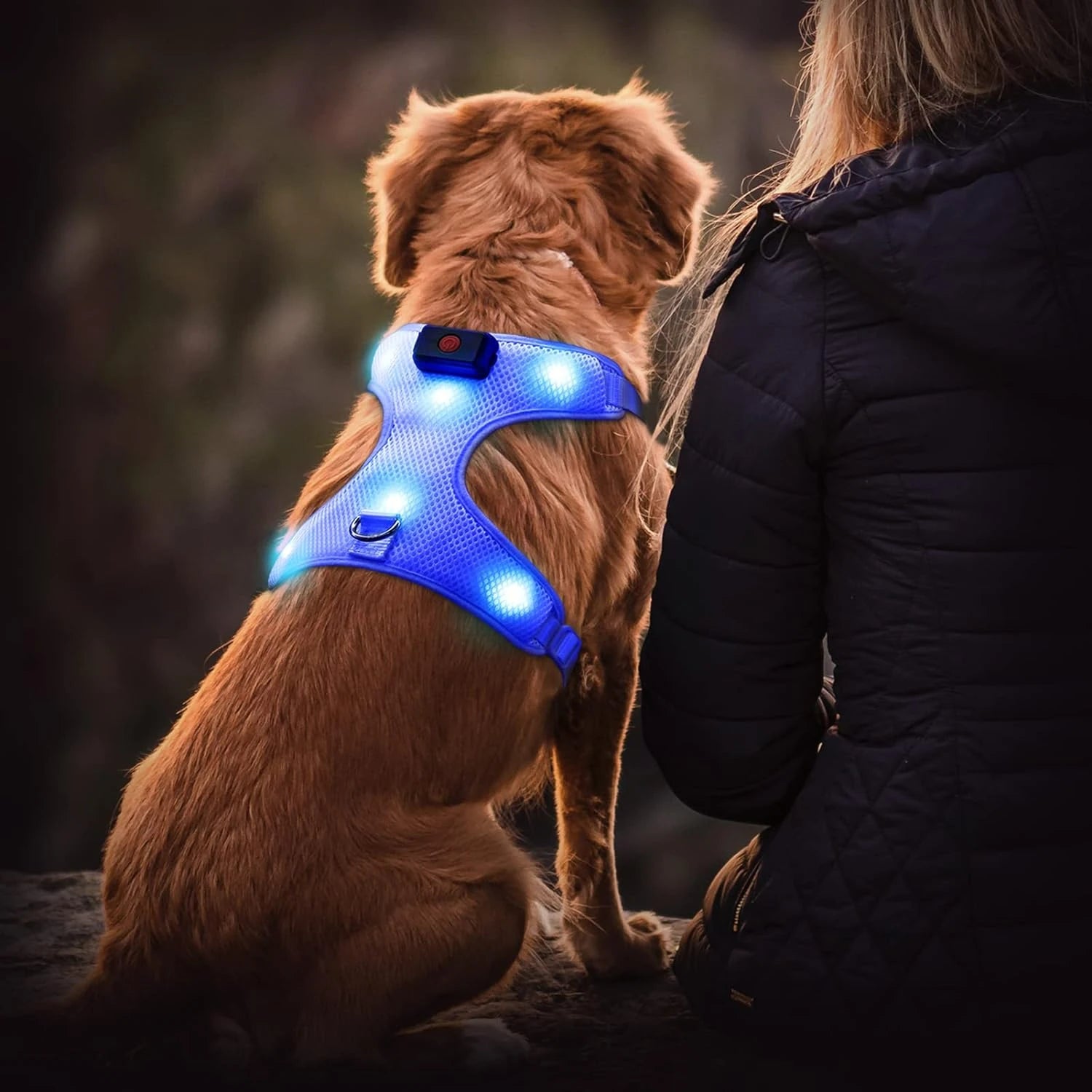 WoofGear Illuminated LED No-Pull Dog Harness – USB Rechargeable, Reflective & Adjustable
