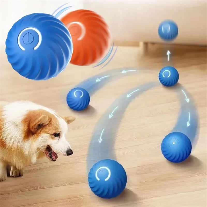 PawsRoll™ Smart Pet Ball