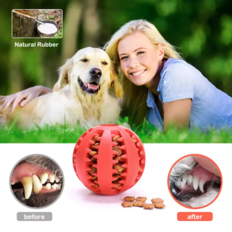WoofGear™ DentalClean Treat Ball – Interactive Chew & Teeth Cleaning Toy