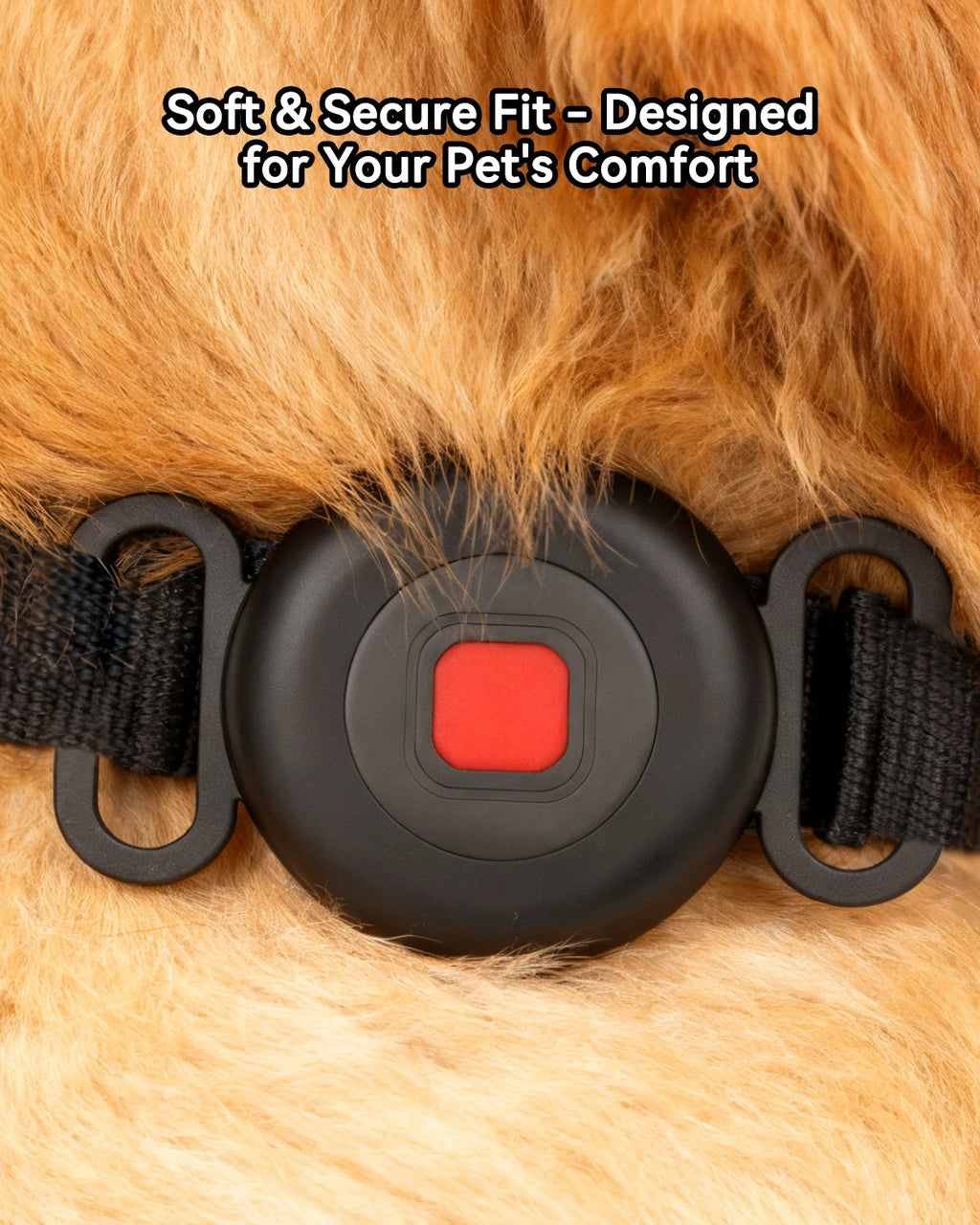 SmartTrack Duo™ Pet Finder Tags – Seamless GPS-Free Tracking for Pets