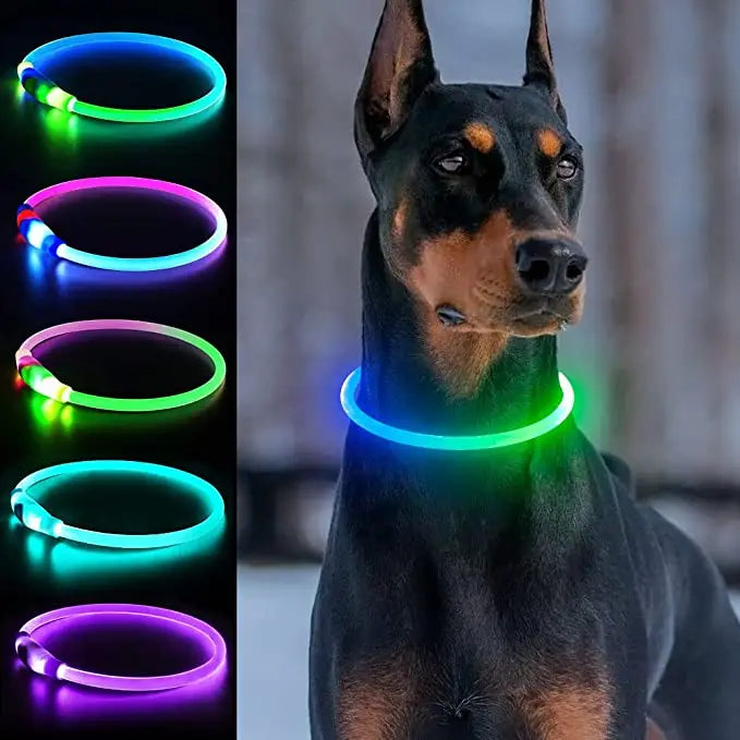 LumiGuard™ LED Waterproof Dog Collar