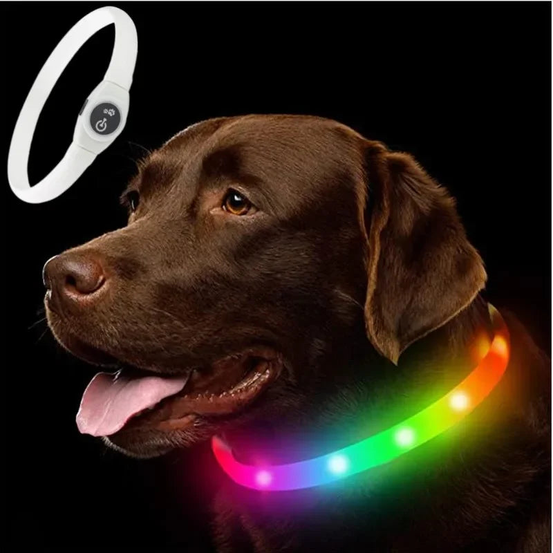 LumiGuard™ LED Waterproof Dog Collar