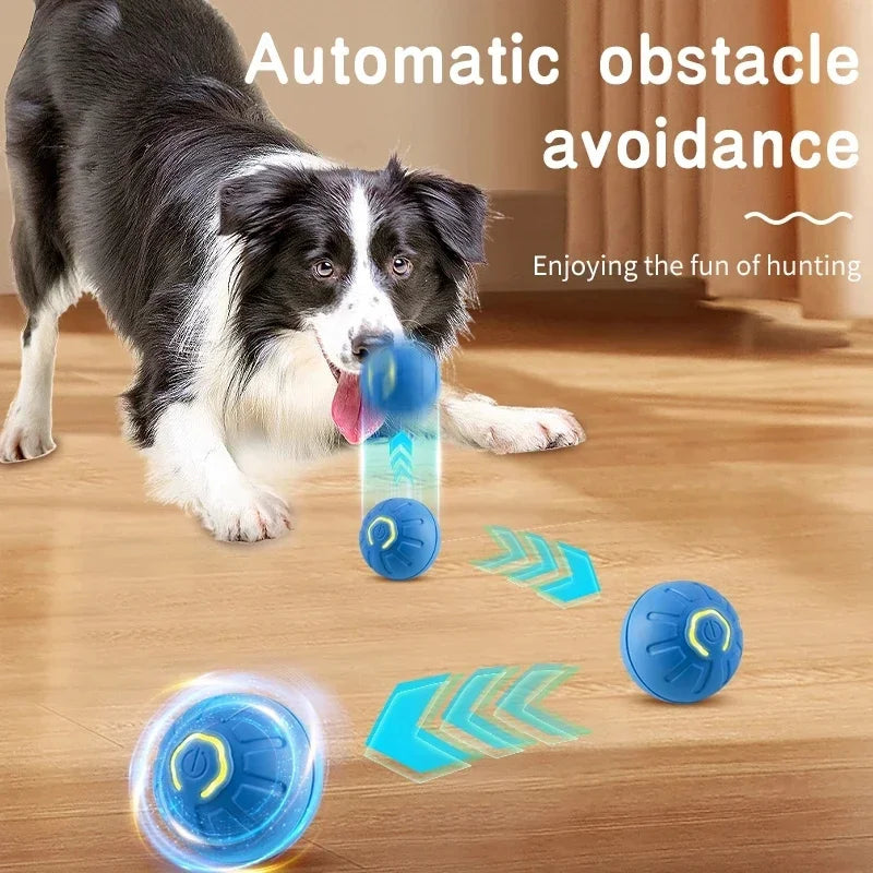 PawsRoll™ Smart Pet Ball