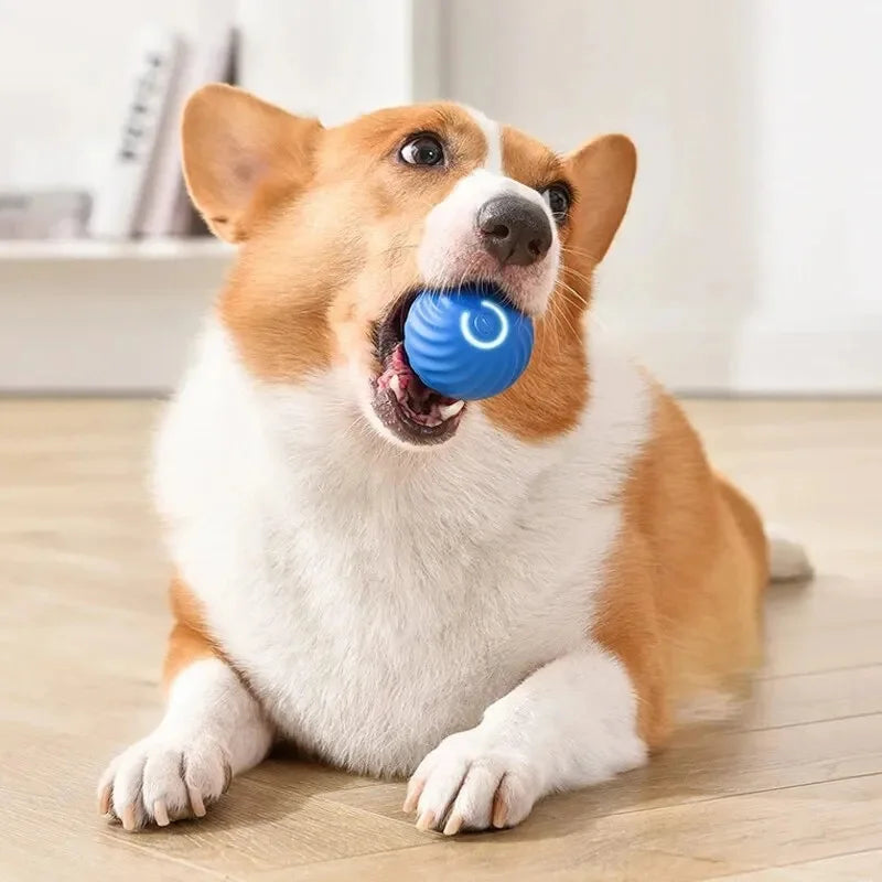 PawsRoll™ Smart Pet Ball