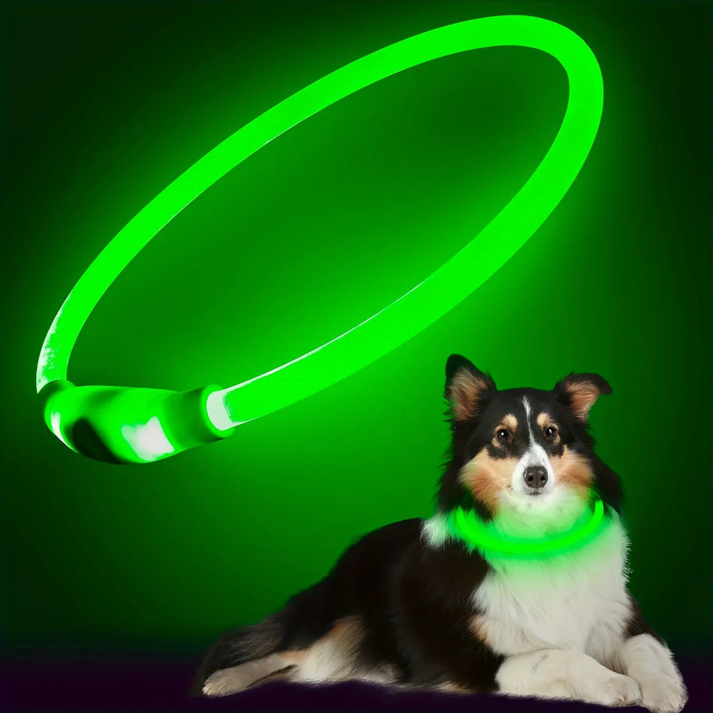 GlowFiber™ USB LED Fiber-Optic Dog Collar