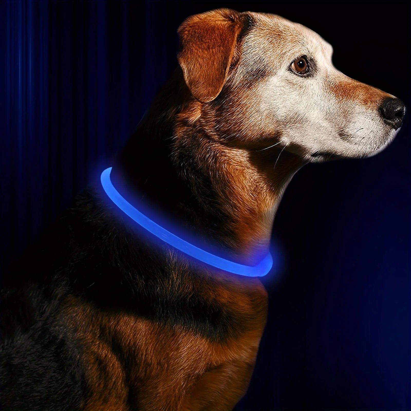 GlowFiber™ USB LED Fiber-Optic Dog Collar