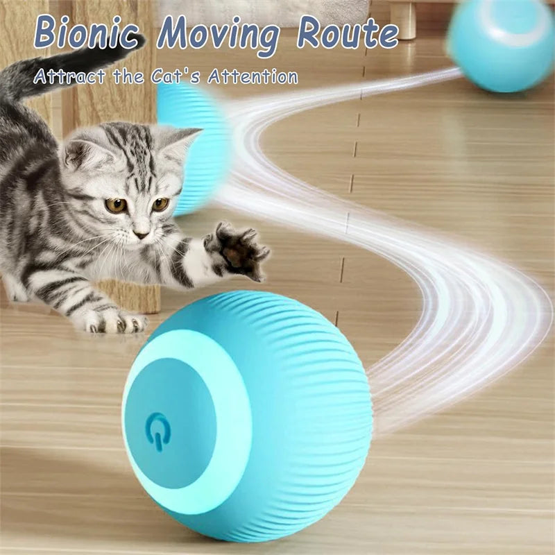 PawsRoll™ Smart Pet Ball