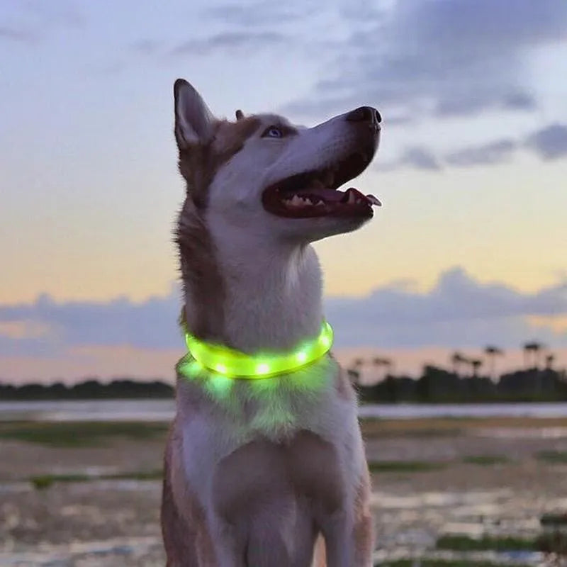 LumiGuard™ LED Waterproof Dog Collar